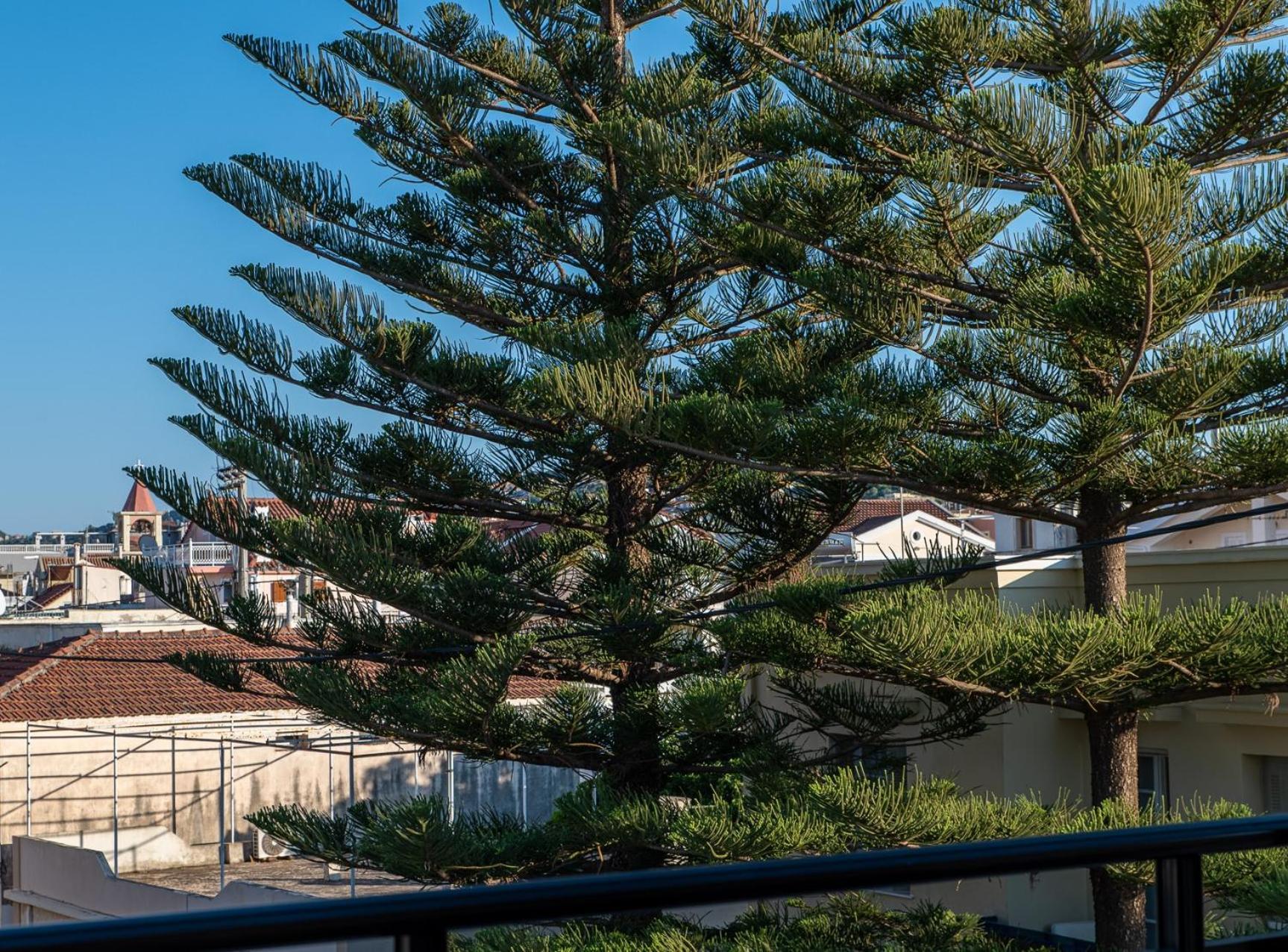 Alimar Apartment Argostoli  Bagian luar foto